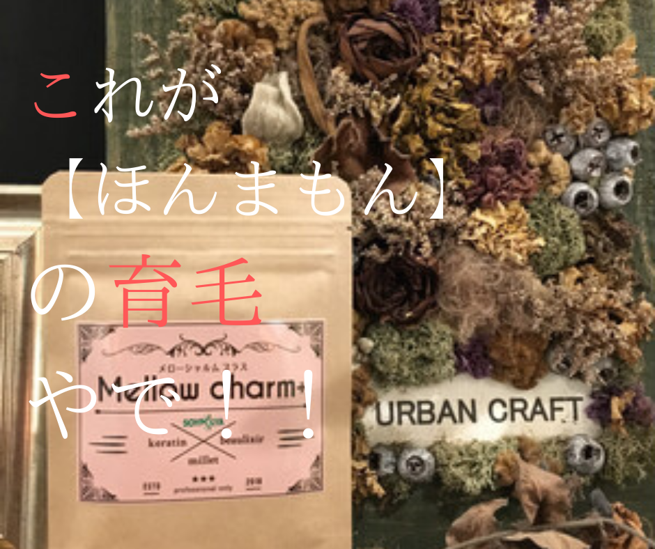 ほんまもんの育毛はこうやるんだぜ 美容師講師が 超絶マニアック に説明してみた 久米川の美容室 美容院のurban Craft アーバンクラフト